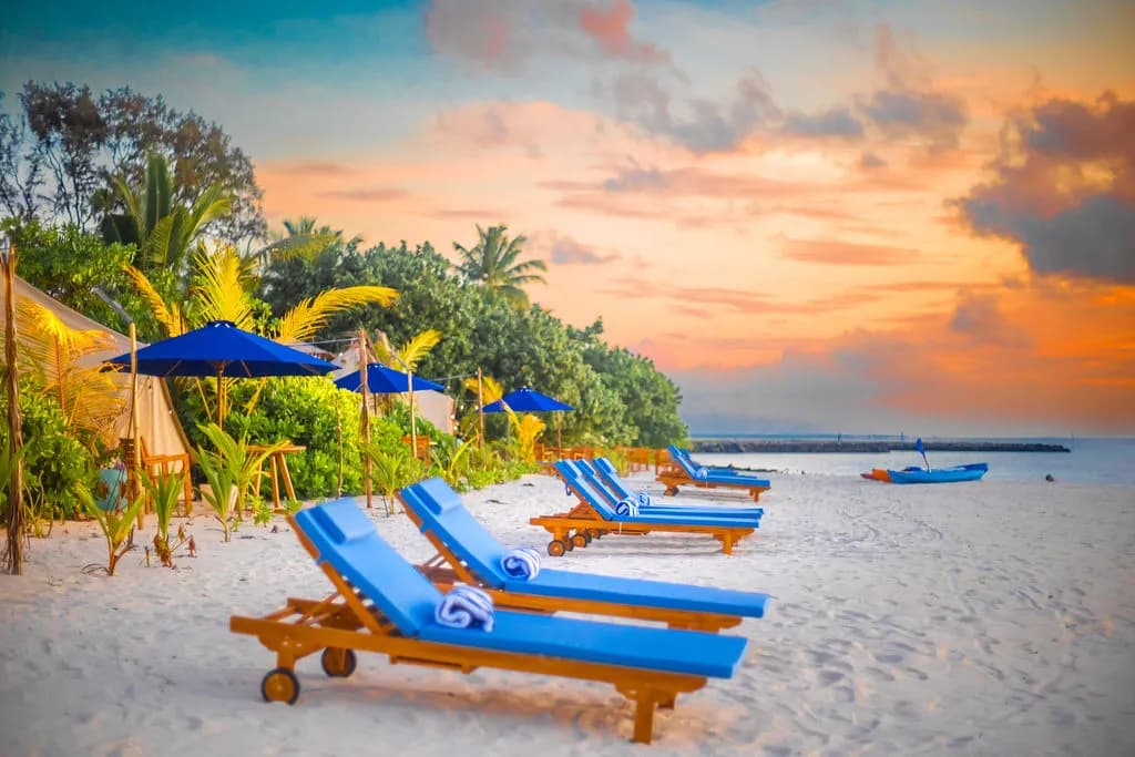 Sun loungers Sun loungers