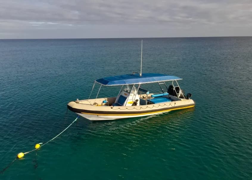 Fanifo Lofa Whale Encounter Boat Fanifo Lofa Whale Encounter Boat