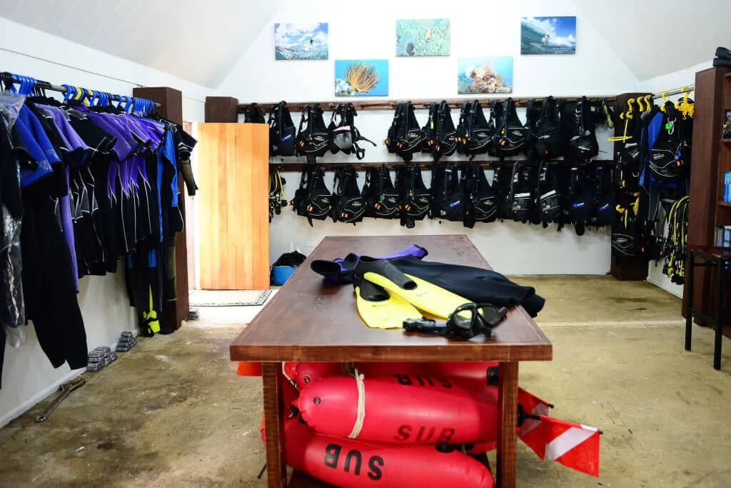 qamea-dive-2.jpg qamea-dive-2.jpg