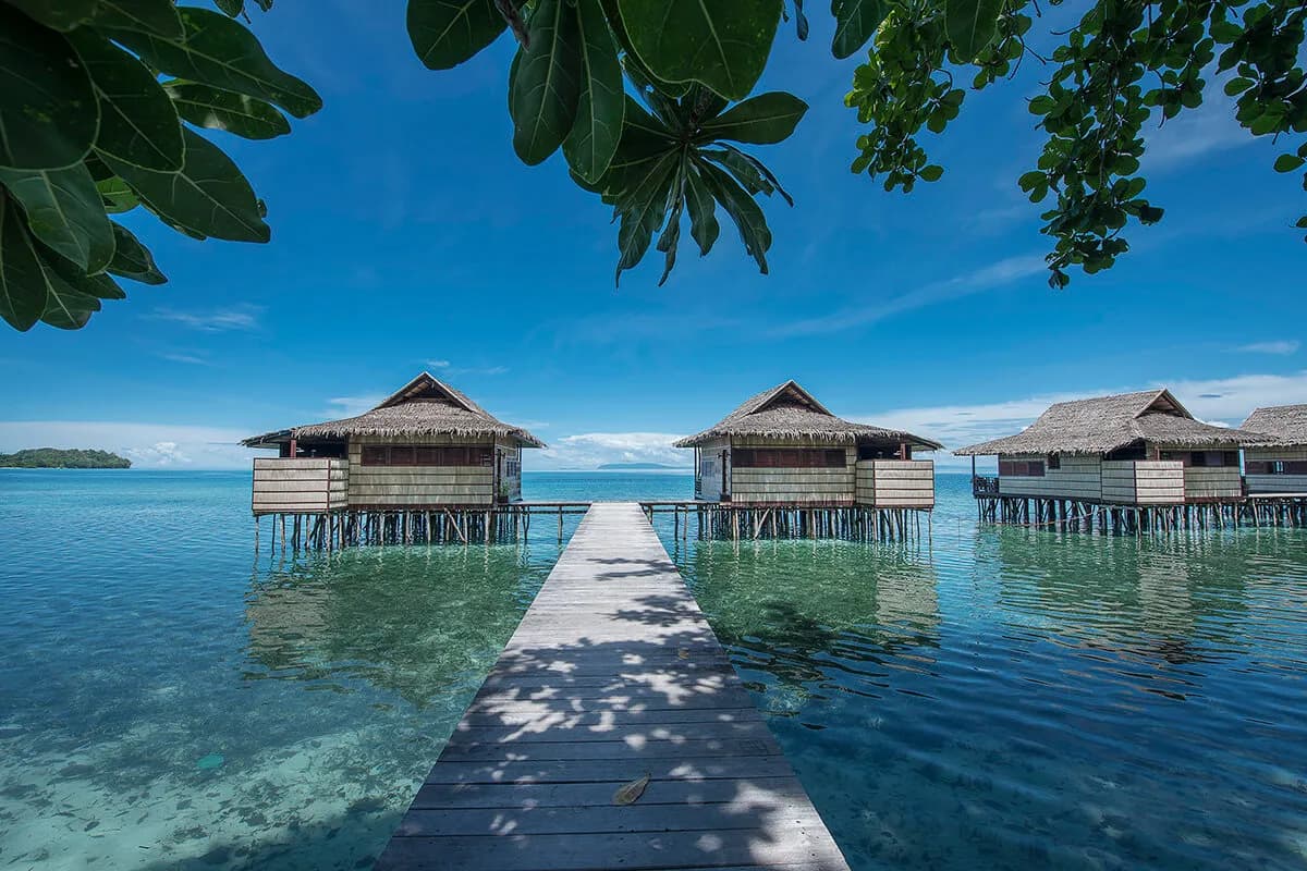 Papua Paradise Eco Resort Water Bungalows Papua Paradise Eco Resort Water Bungalows