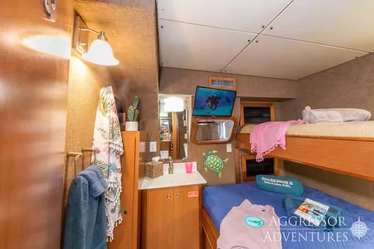 Turks & Caicos Aggressor II Deluxe Cabin - image Turks & Caicos Aggressor II Deluxe Cabin - image