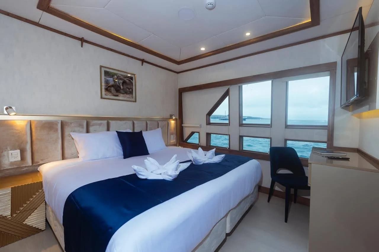 Tiburon Stateroom - image Tiburon Stateroom - image