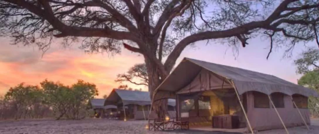 Tanzania Lodge & Luxury Camps - image Tanzania Lodge & Luxury Camps - image