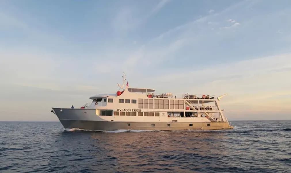 Carousel - image Carousel - image