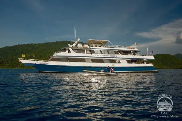 Carousel - image Carousel - image