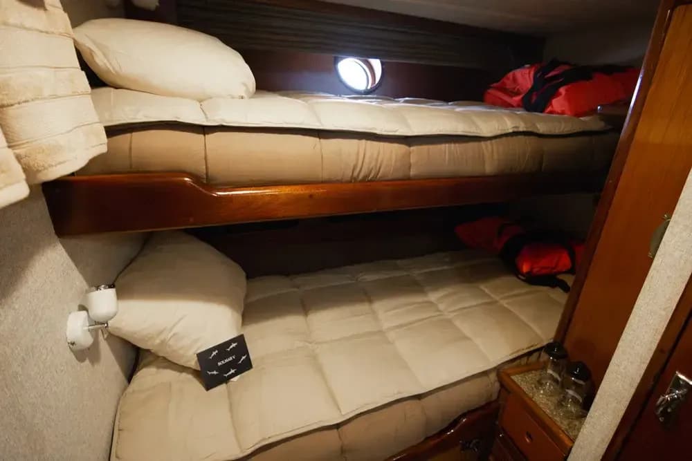 Carousel - image Carousel - image