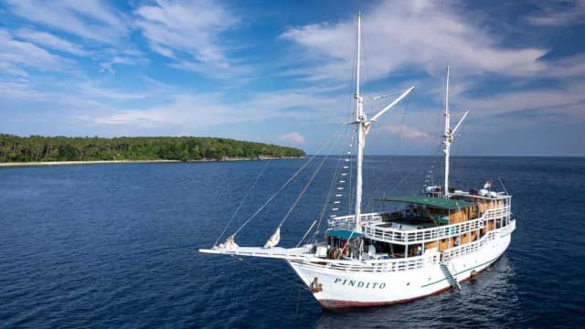 Pindito Liveaboard Last-Minute Special 2025 Pindito Liveaboard Last-Minute Special 2025