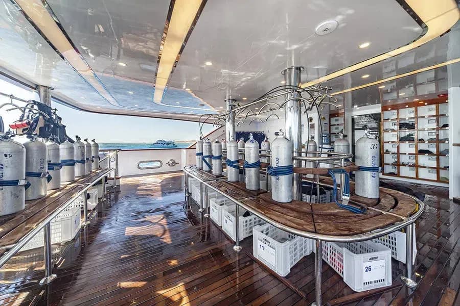 Carousel - image Carousel - image