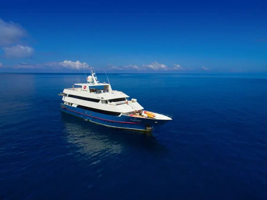 Calipso Liveaboard Special September 2025