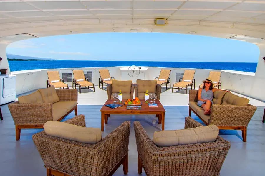 Catamaran Treasure Special September 2025