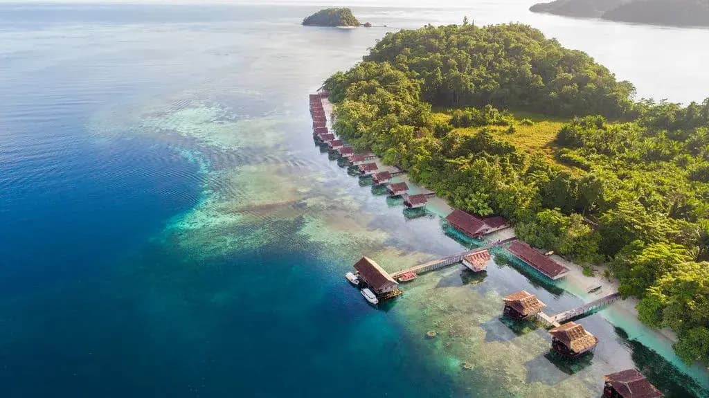 Papua Paradise Eco Resort Special November 2025