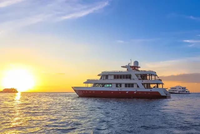 Dune Theia Special Packages 2025 Dune Theia Special Packages 2025