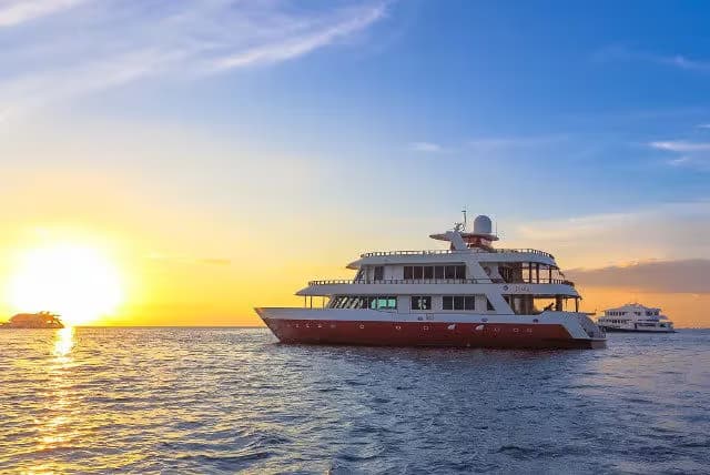 Dune Theia Special Packages Dune Theia Special Packages