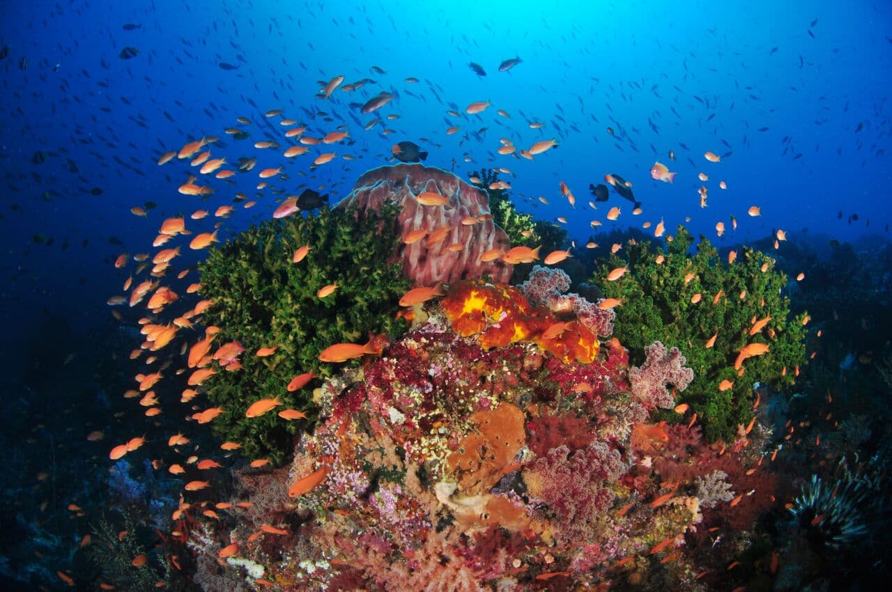 Carousel - image Carousel - image