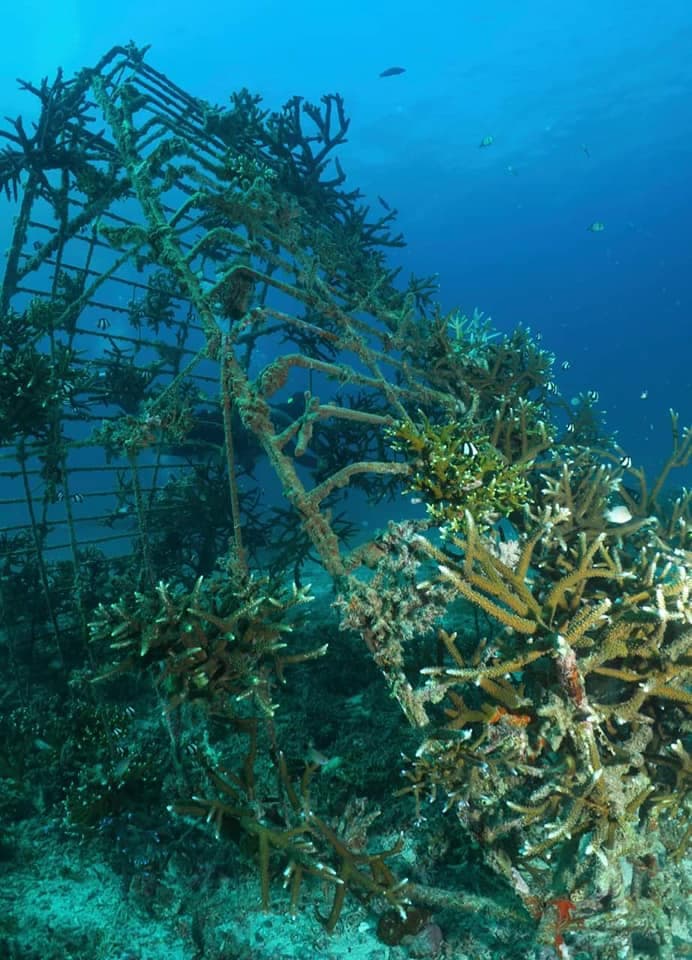 Carousel - image Carousel - image