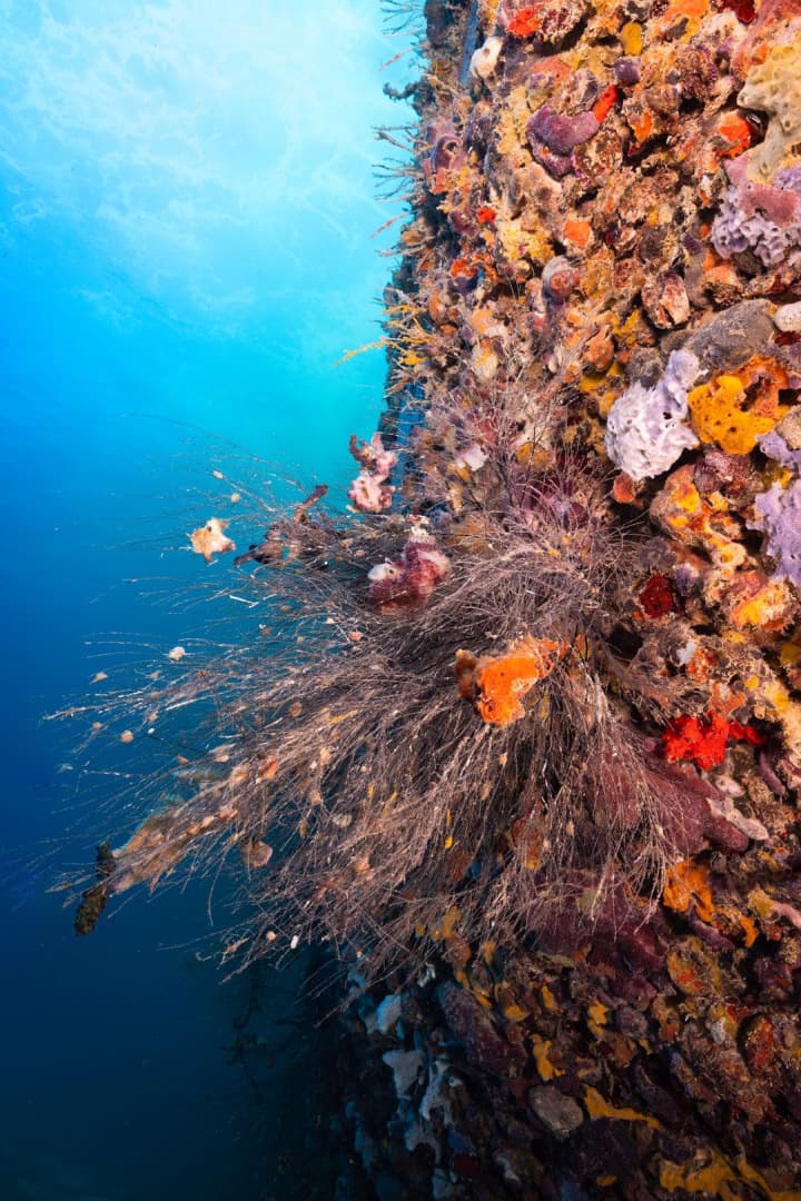 Carousel - image Carousel - image