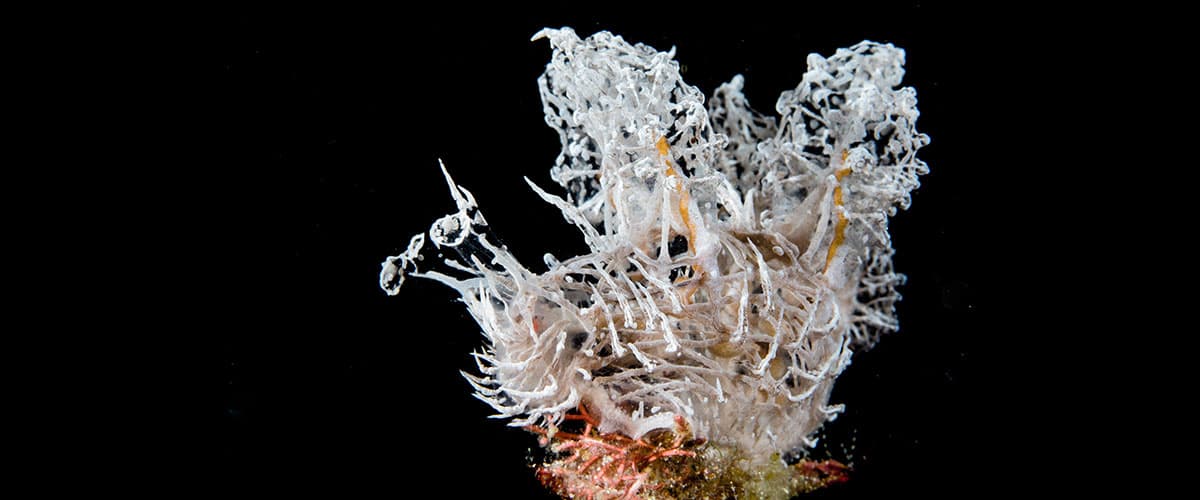 Carousel - image Carousel - image