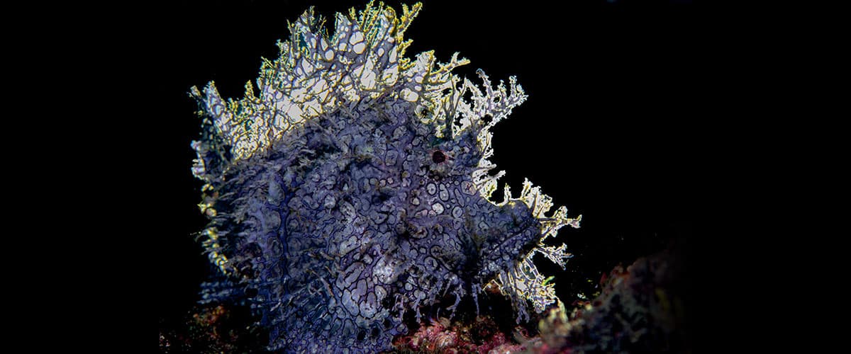 Carousel - image Carousel - image