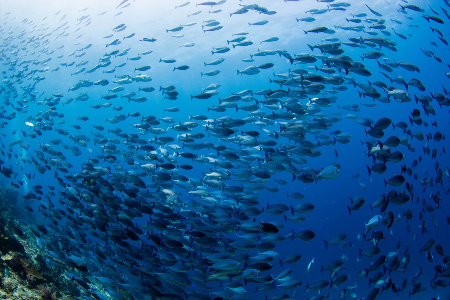 Carousel - image Carousel - image