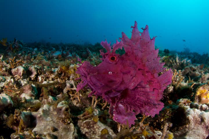 Carousel - image Carousel - image