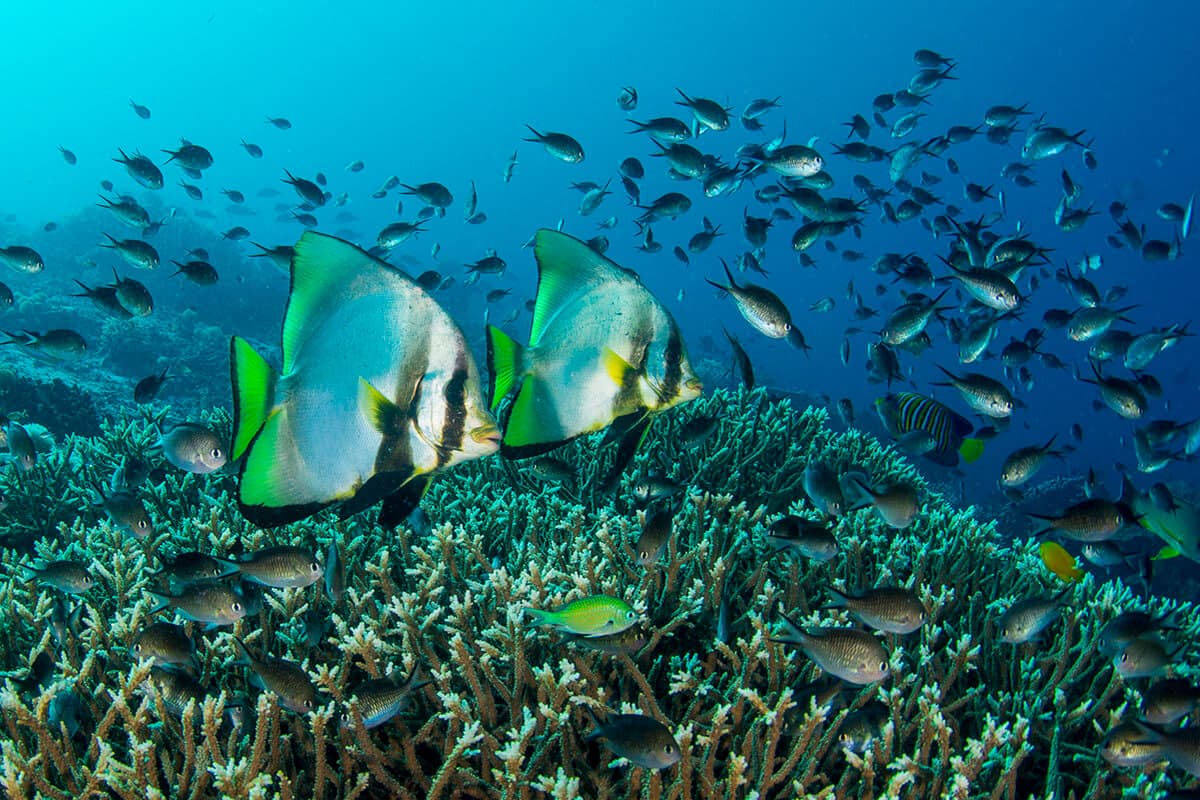 Carousel - image Carousel - image