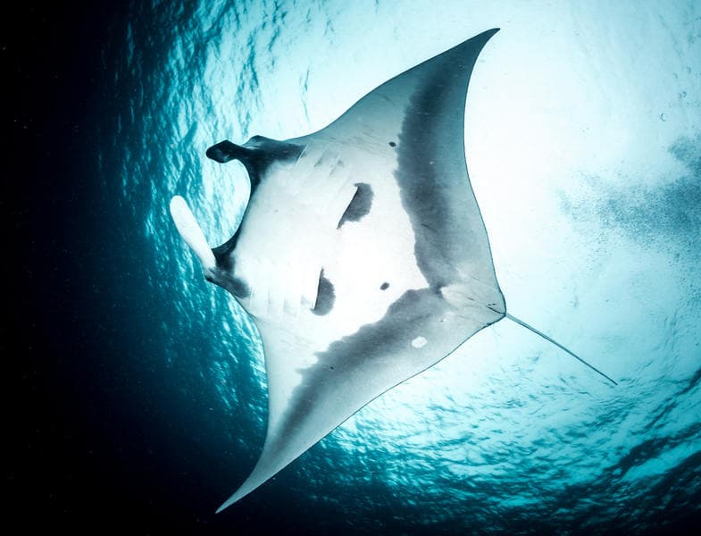 Carousel - image Carousel - image