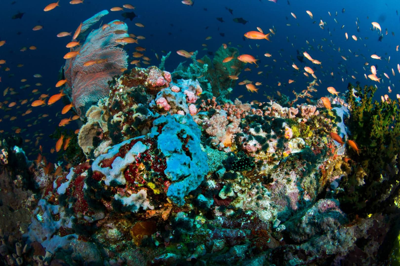 Carousel - image Carousel - image