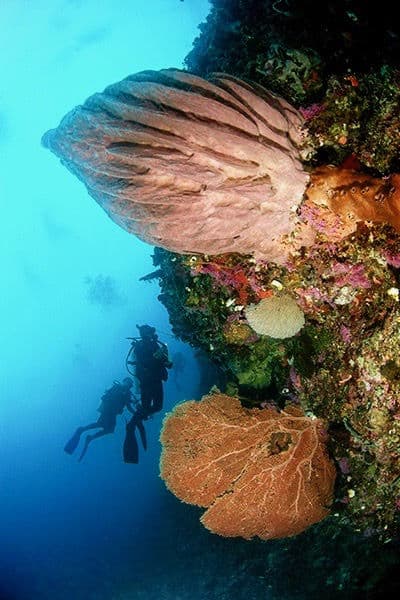 Carousel - image Carousel - image