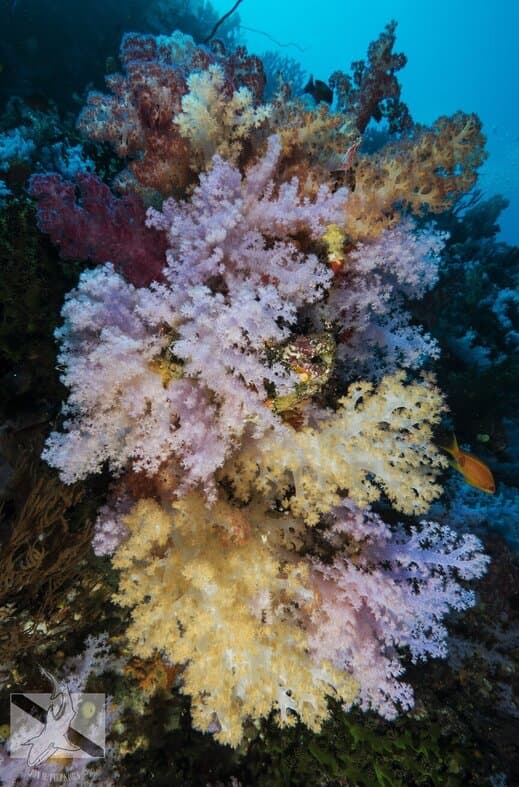 Carousel - image Carousel - image