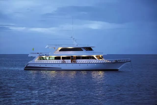 Conte Max Special Packages Conte Max Special Packages