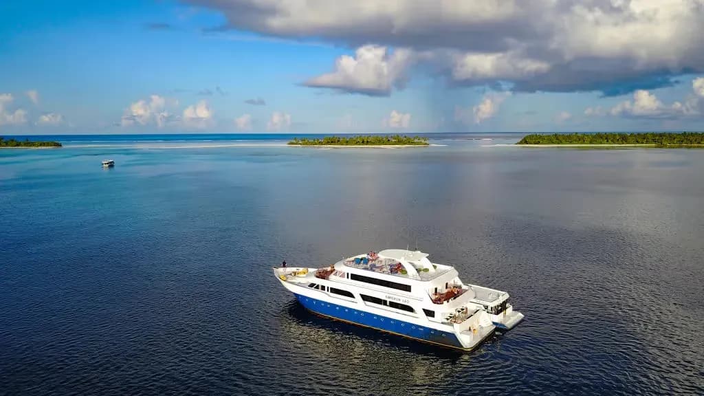 Emperor Leo Special Packages - image Emperor Leo Special Packages - image