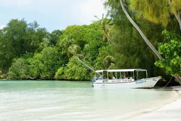 Sam's Tours Palau Special Packages Sam's Tours Palau Special Packages
