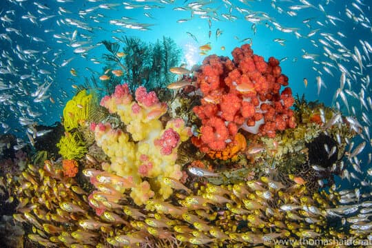 Carousel - image Carousel - image