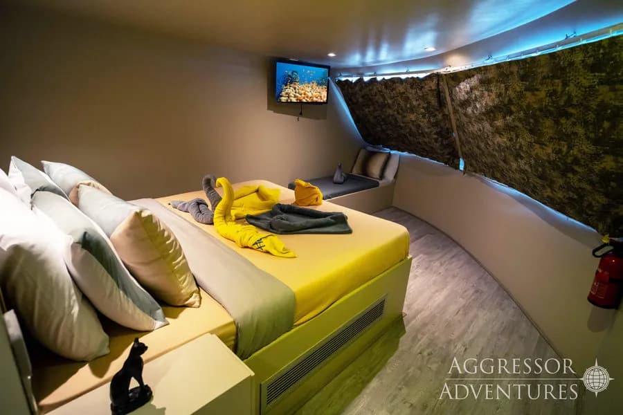 Premium Deluxe Staterooms - image Premium Deluxe Staterooms - image
