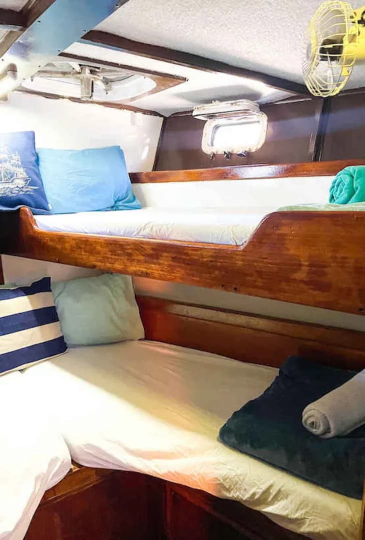 Coral Sea Dreaming Cabins - image Coral Sea Dreaming Cabins - image