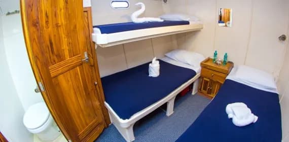 Standard Cabins - image Standard Cabins - image