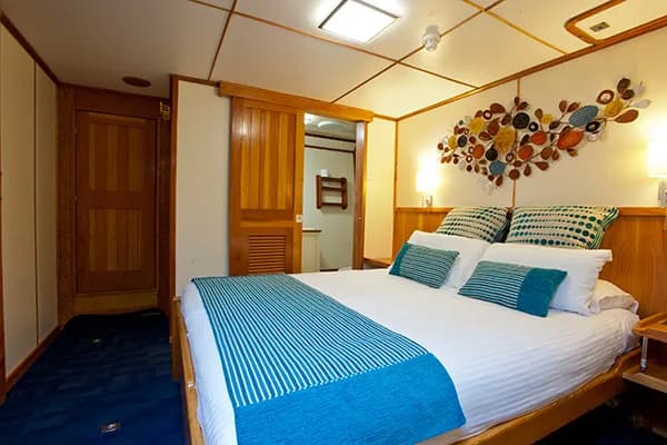 Stateroom - image Stateroom - image