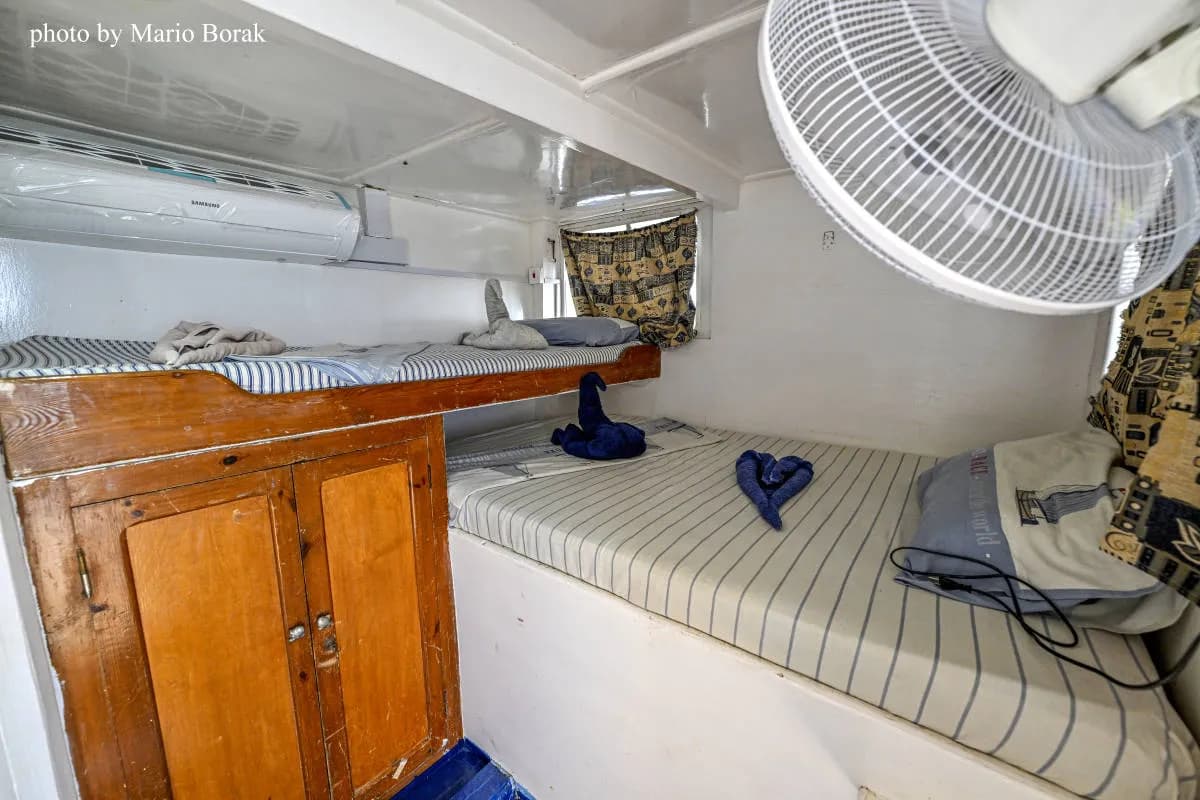 Double + Single Bed Cabins (Upper & Lower Deck) - image Double + Single Bed Cabins (Upper & Lower Deck) - image