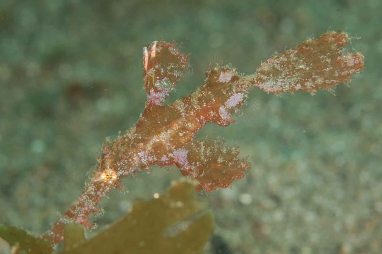 Carousel - image Carousel - image