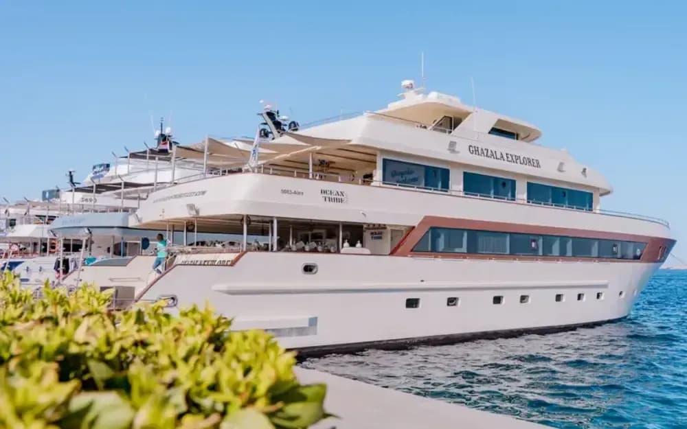 Ghazala Explorer Special Packages - image Ghazala Explorer Special Packages - image