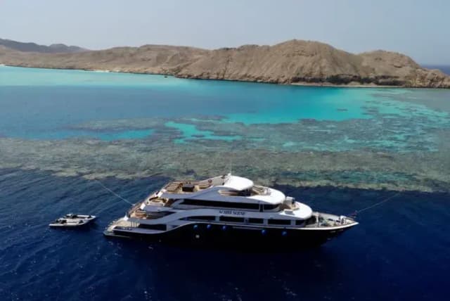 All Star Scuba Scene Special Packages All Star Scuba Scene Special Packages