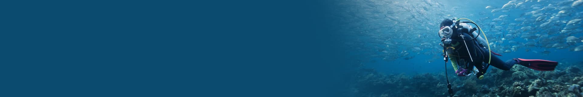 Nouvel Année, nouvelles aventures – économisez jusqu’à 63 %! Nouvel Année, nouvelles aventures – économisez jusqu’à 63 %!