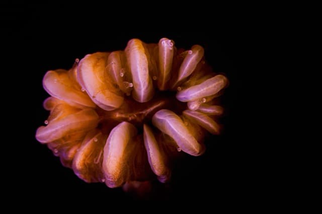 Carousel - image Carousel - image