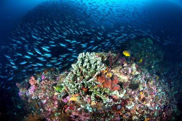 Carousel - image Carousel - image