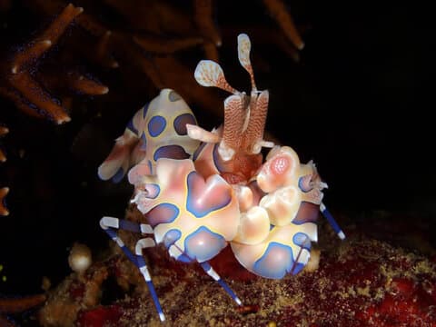 Carousel - image Carousel - image