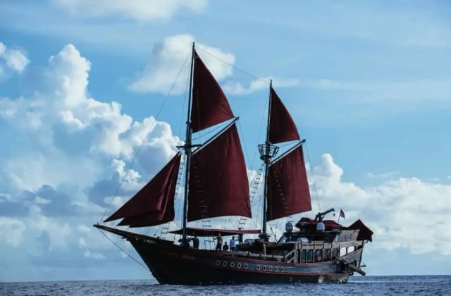 Manta Mae Special Packages Manta Mae Special Packages