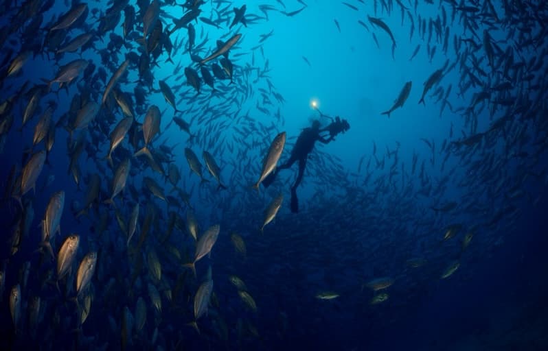 Carousel - image Carousel - image