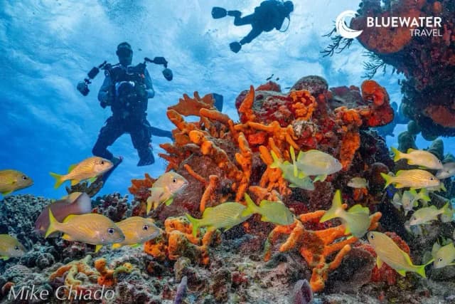 Bluewater's Ultimate Mexico Special Packages Bluewater's Ultimate Mexico Special Packages