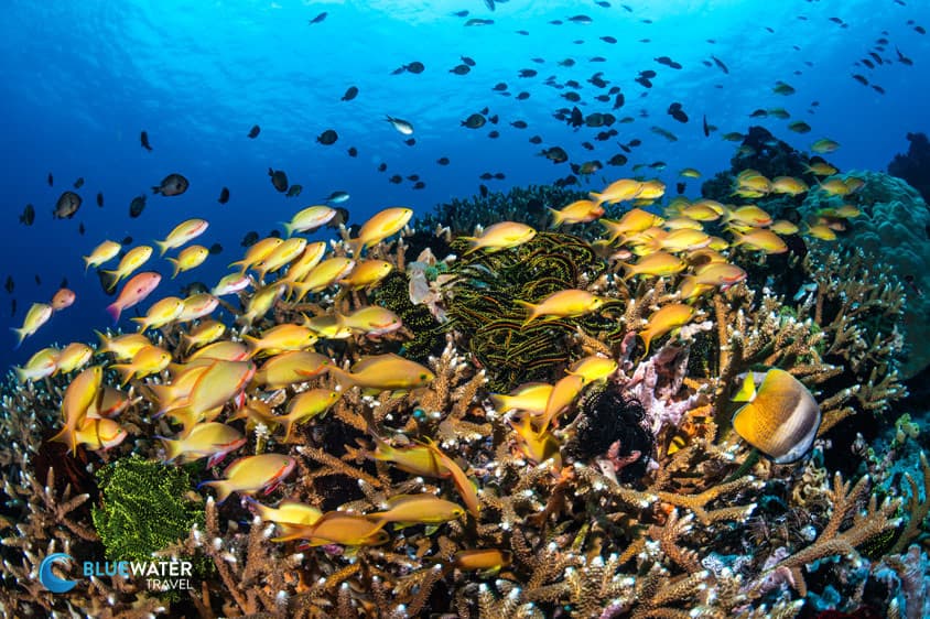 Carousel - image Carousel - image