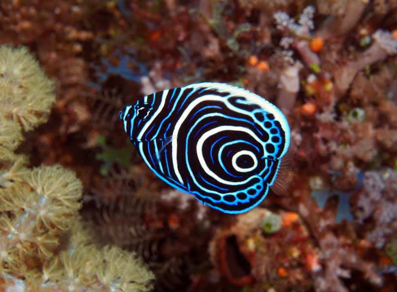 Carousel - image Carousel - image